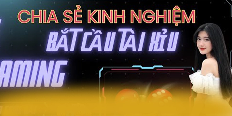 8XBET - Nền tảng cá cược hoạt động hợp pháp chuẩn mực quốc tế