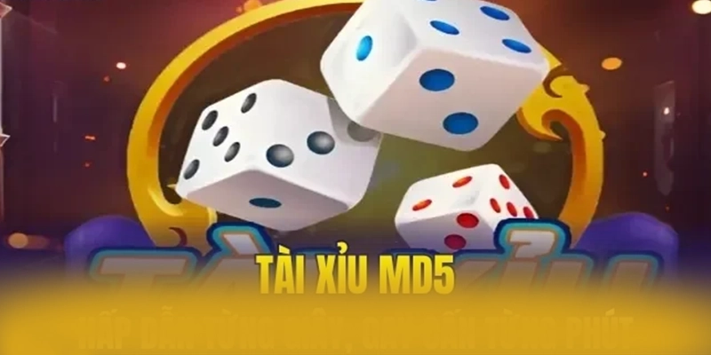 ZBET - Nhà cái minh bạch và uy tín an toàn nhất ZBET - Nhà cái minh bạch và uy tín an toàn nhất