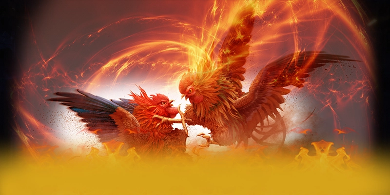 Đánh giá toàn diện ZBET - Nhà cái cá cược được tin dùng 2025 Đánh giá toàn diện ZBET - Nhà cái cá cược được tin dùng 2025