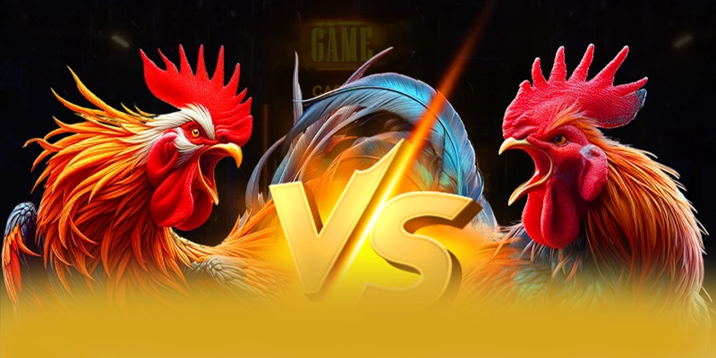 8XBET - Cổng giải trí có danh mục game hấp dẫn 2026