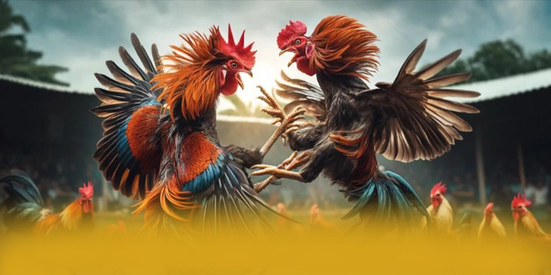 Đội ngũ hỗ trợ người chơi tại BET168 Đội ngũ hỗ trợ người chơi tại BET168