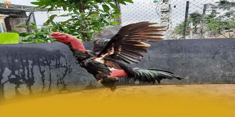 8XBET - Tổng kết — Nền tảng cá cược hàng đầu xứng đáng thử nghiệm 8XBET - Tổng kết — Nền tảng cá cược hàng đầu xứng đáng thử nghiệm