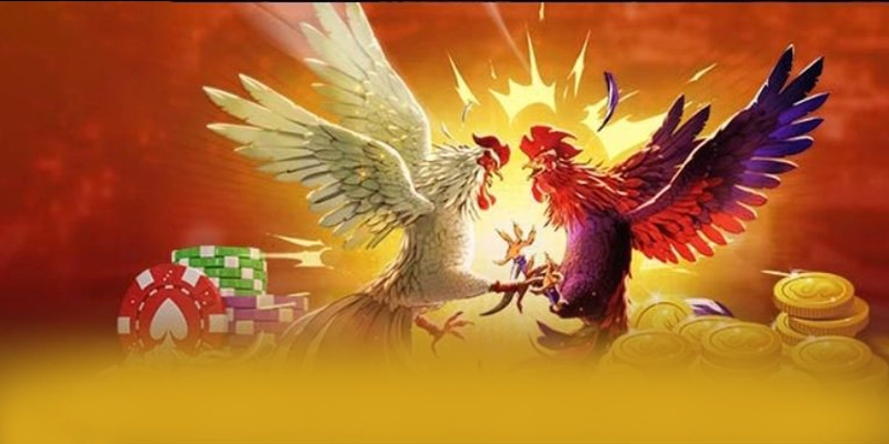Nhận xét từ game thủ về FB88 Nhận xét từ game thủ về FB88